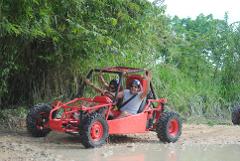 FOUR WHEELS & BUGGIES